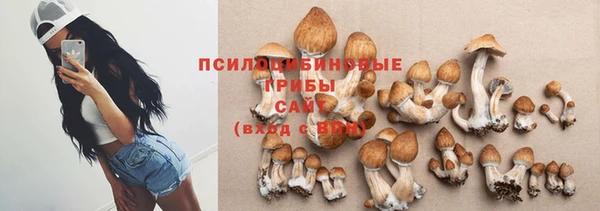 метадон Аркадак