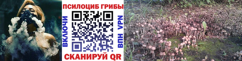 Галлюциногенные грибы Cubensis  купить  цена  Нижний Тагил 