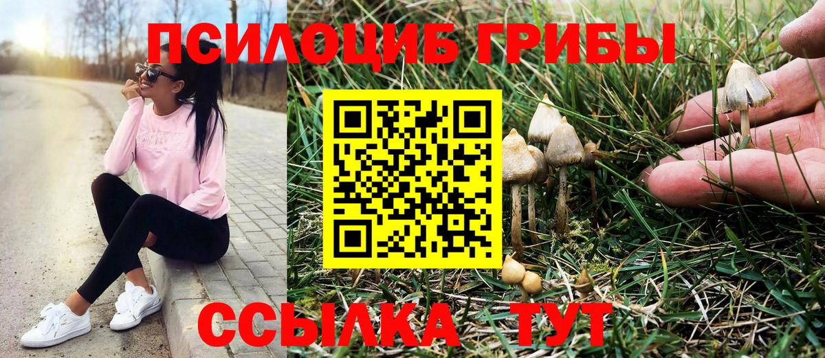 Псилоцибиновые грибы MAGIC MUSHROOMS  Галлюциногенные грибы MAGIC MUSHROOMS  Нижний Тагил  купить закладку  Вход с VPN 