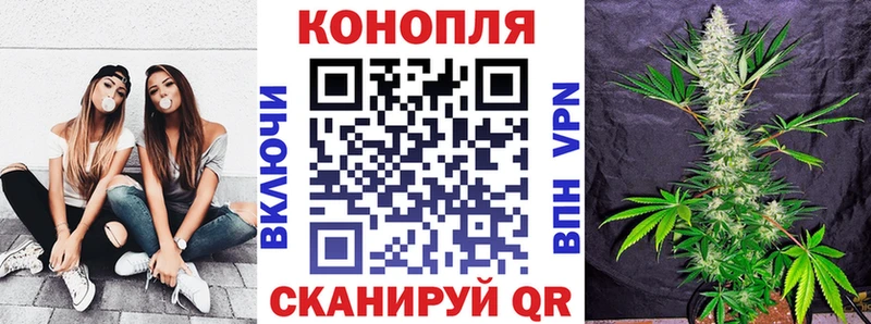 продажа наркотиков  Нижний Тагил  Канабис индика 